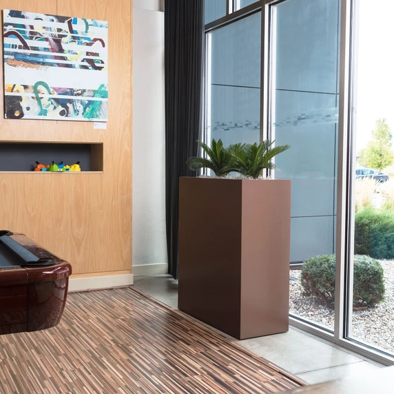 Amesbury tall narrow fiberglass planter box in brown finish with plant against office wall