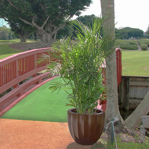 Santa Barbara fluted fiberglass planter pot in brown finish with tall plant placed outdoors beside a red bridge