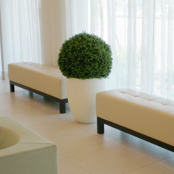 Brannan large round fiberglass planter pot in white finish with topiary indoors next to benches