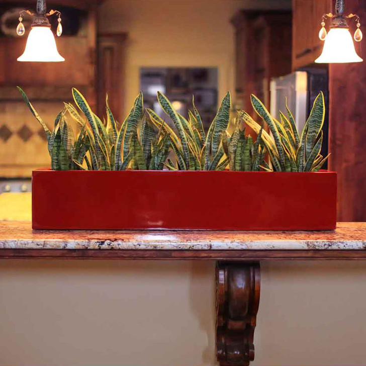 Red Salon Window Box Planter on a granite countertop filled with snake plants