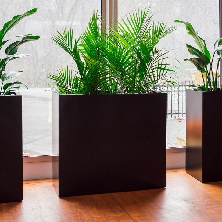 Modular 16-inch wide tall fiberglass planter boxes in matte black finish with indoor palm plants