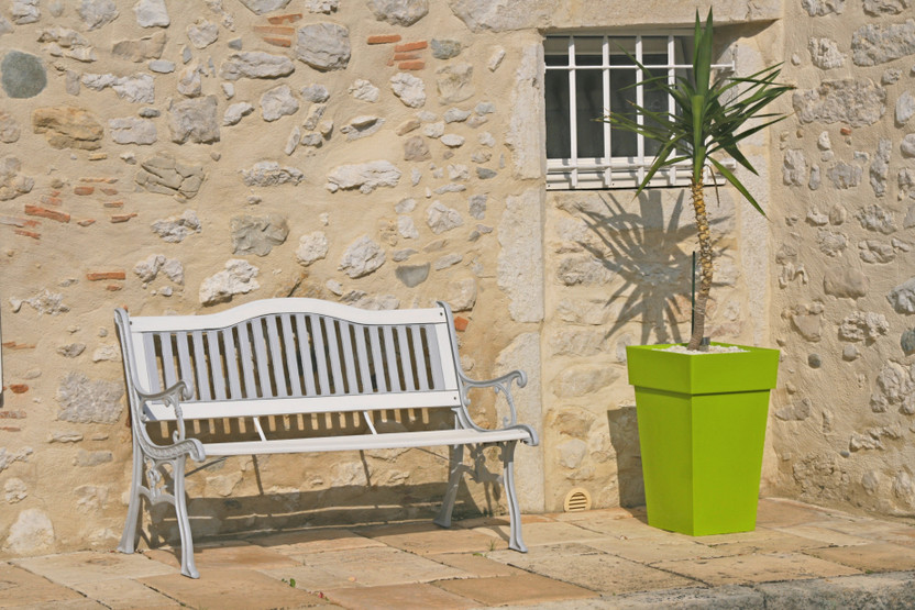 10 Best Drought Tolerant Plants