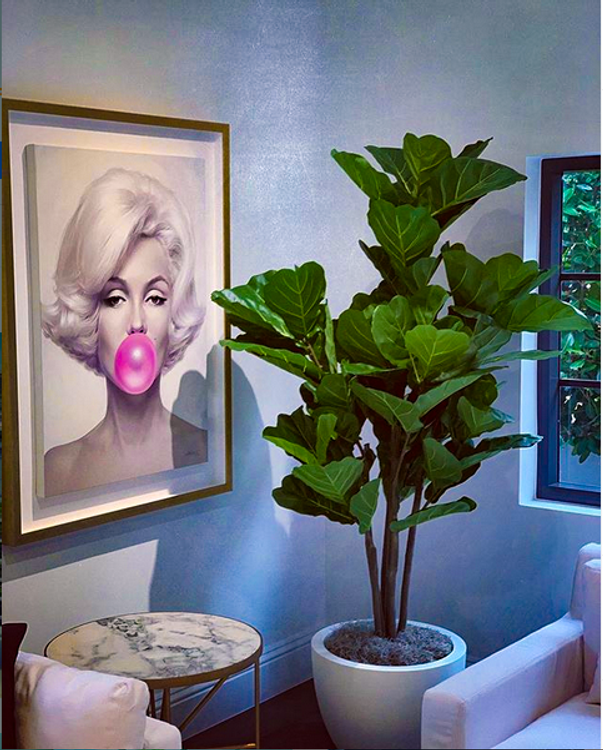 Feeling Retro? Check Out these 5 Planter Styles with SERIOUSLY Vintage Vibes