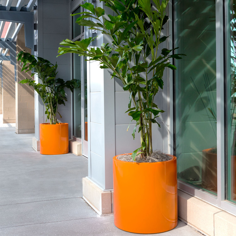 Selecting Astonishingly Appropriate Large Planters for Trees