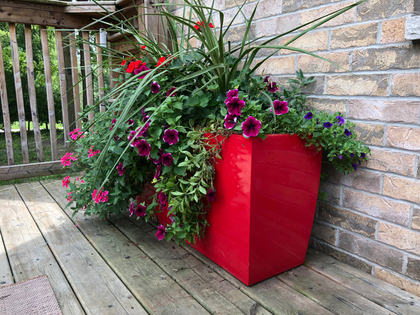 Our Tips for Choosing the Best Color Pots and Planters