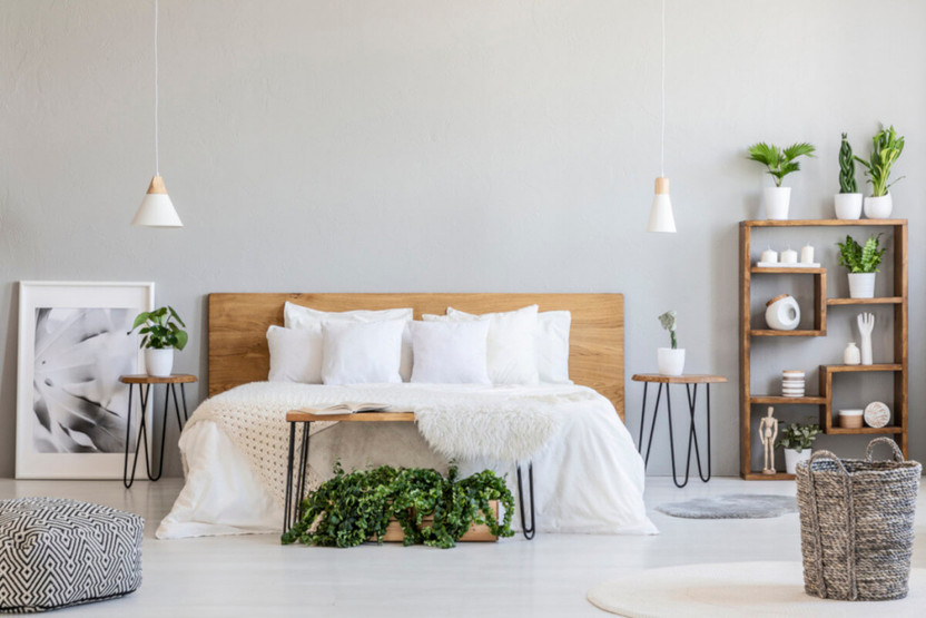 Reasons to Add Indoor Plants to the Bedroom