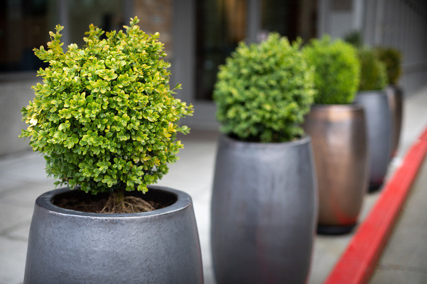 Buying Commercial Planters: What Is the Best Material for Outdoor Planters? Buying Commercial Planters: What Is the Best Material for Outdoor Planters?