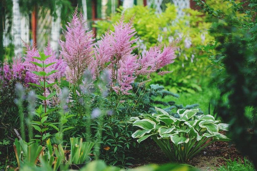 Container Ideas for Shaded Spaces Container Ideas for Shaded Spaces
