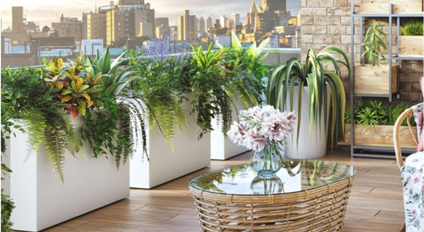 How to Decorate a Minimalist Home with Foliage and Large Planters