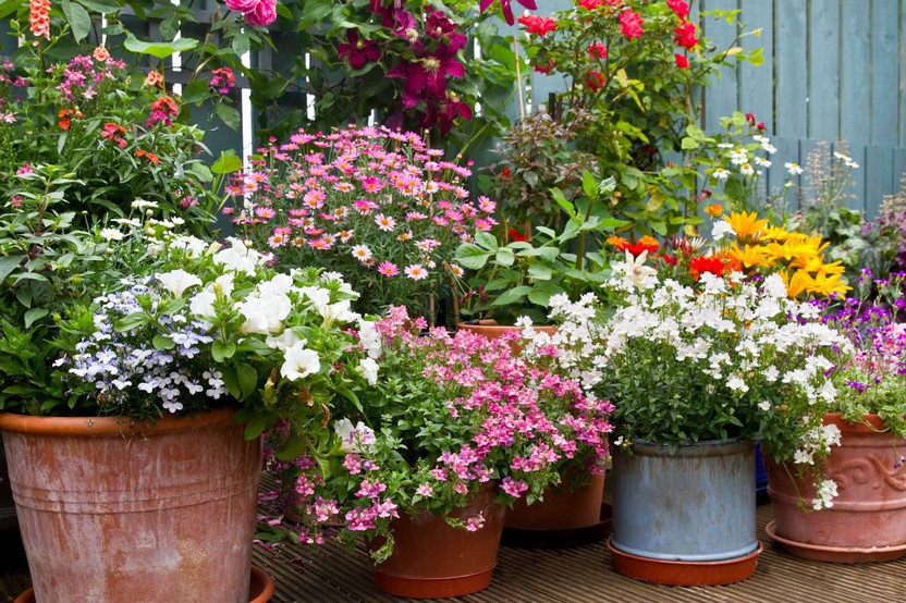 How to Arrange Garden Pots