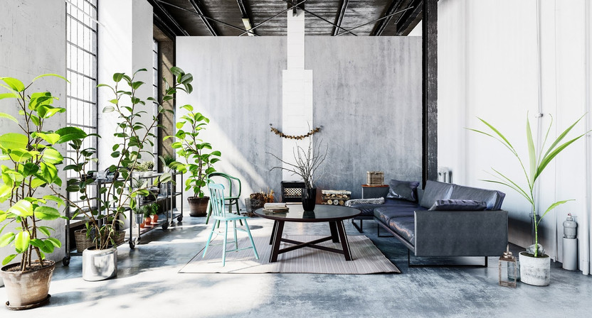 5 Unkillable Plants: Best Low-Maintenance Plants for Businesses