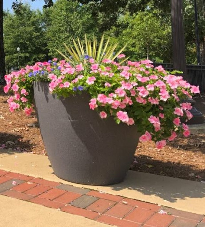 Garden & Landscape Design Ideas