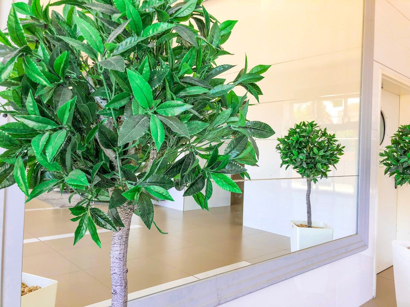 The 6 Biggest Indoor Plant Trends for 2022