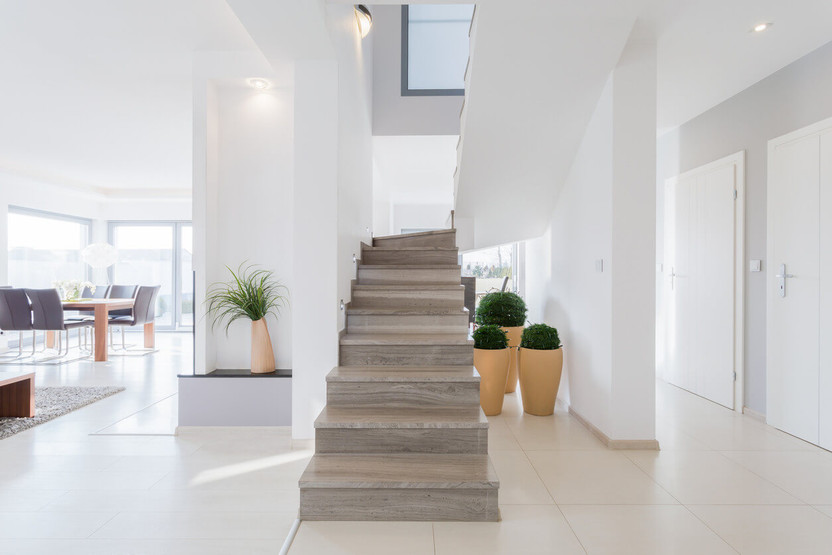 Adding Indoor Plants to Your Space