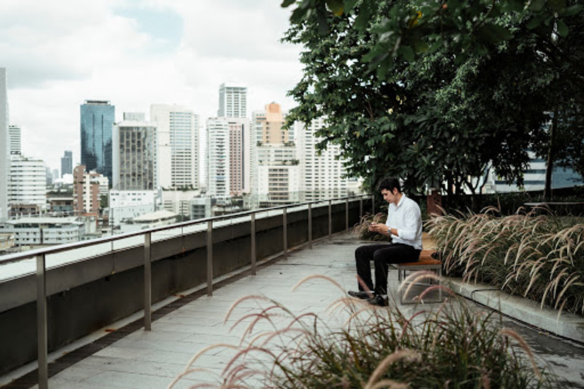 The Best Outdoor Planters for Office Rooftops and Balconies
