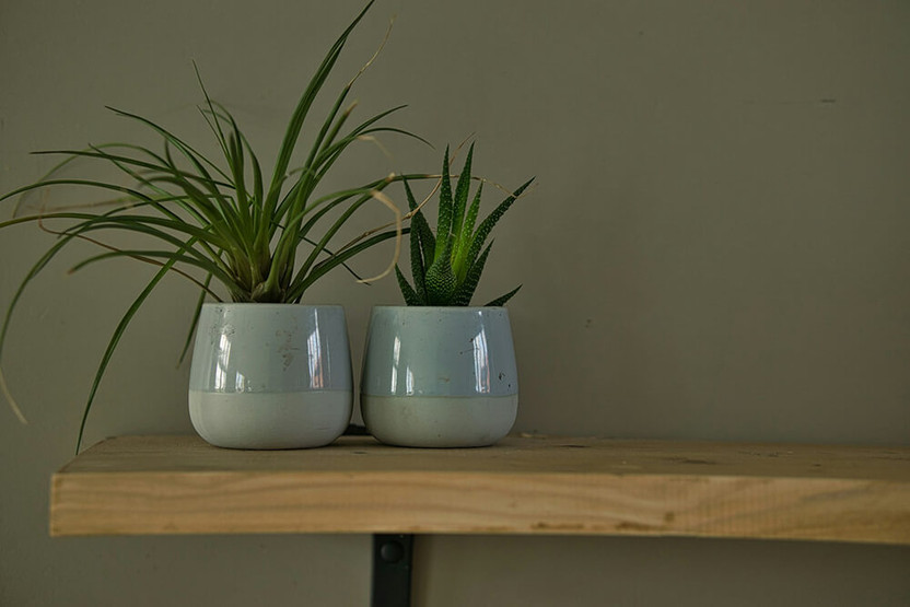 What's the Difference Between Planters and Pots? Here is All You Need to Know! What's the Difference Between Planters and Pots? Here is All You Need to Know!