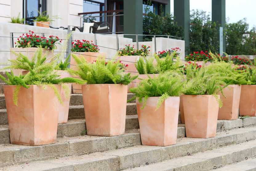 Spring Updates for Your Business