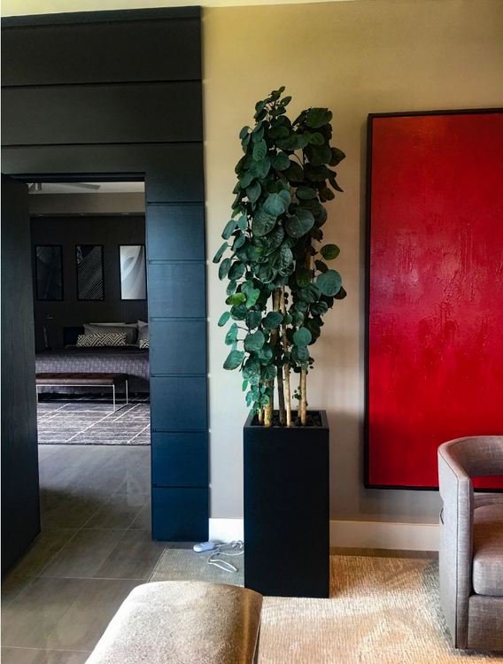 Meet 3 of our Planters and the Places that Inspired Them