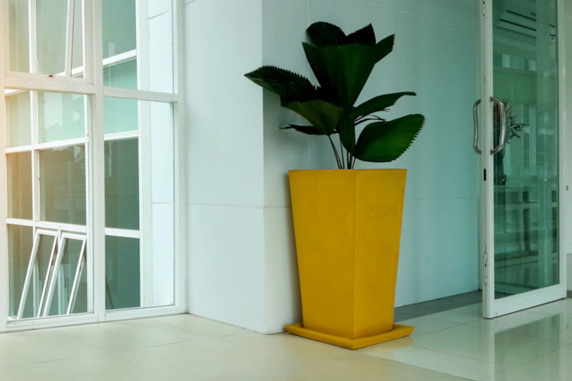 How to Use Planter Boxes in Commercial Locations