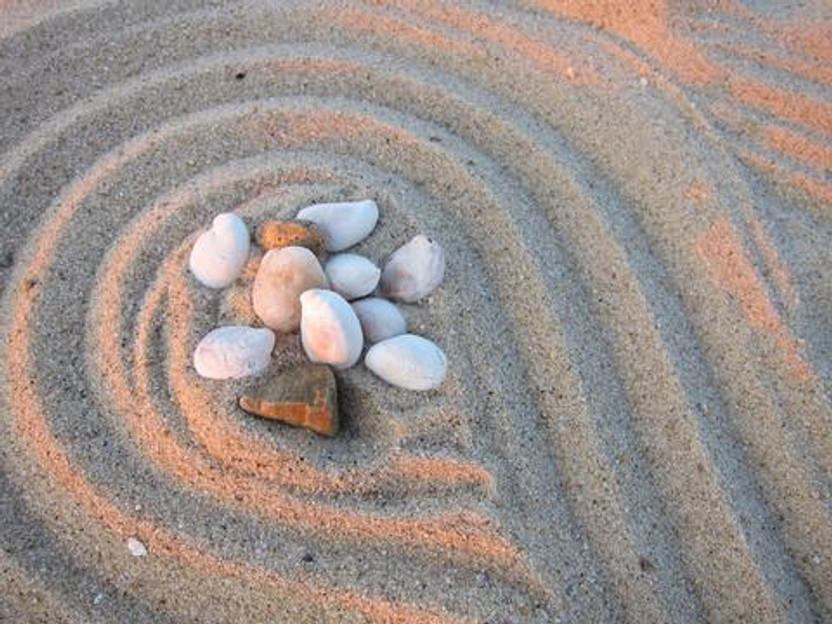 How To Achieve Four Aesthetic Principles Of A Zen Garden Indoors or Outdoors