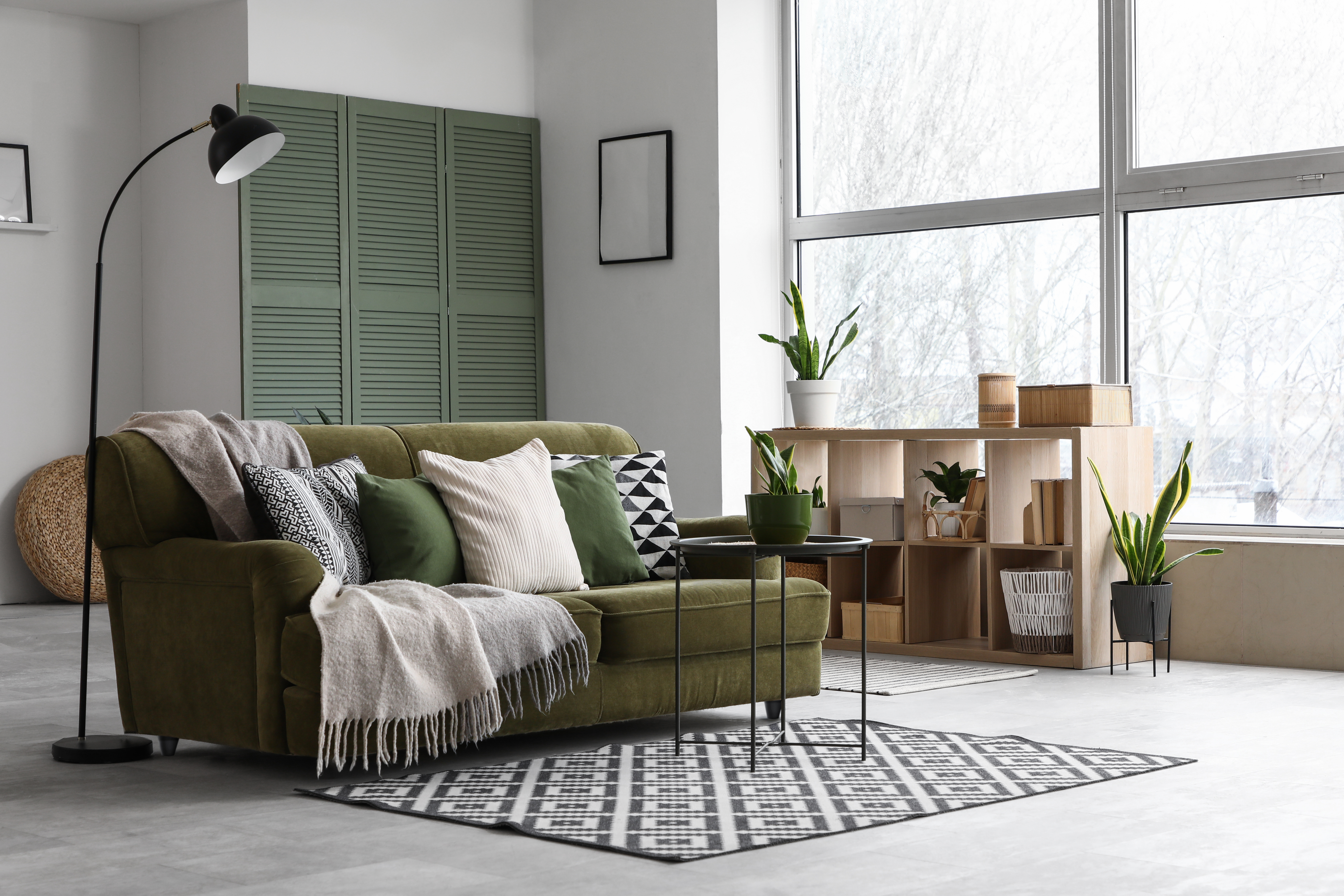 A functional living room with snake plants