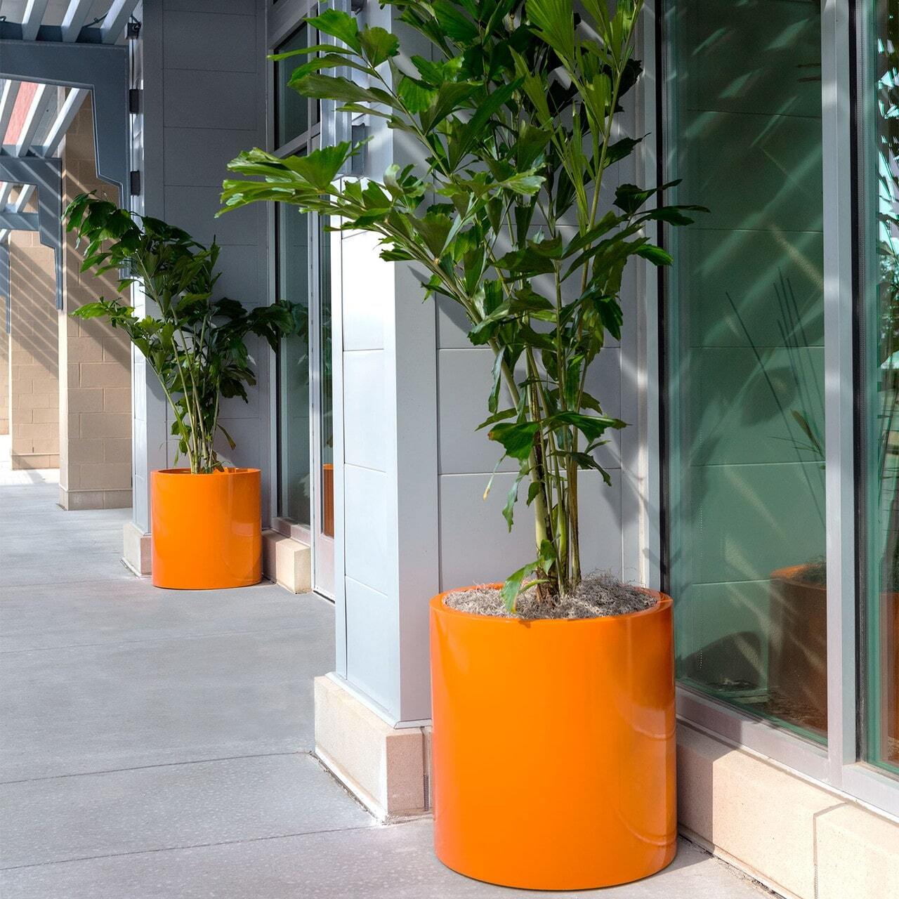 Low Bowl Planters