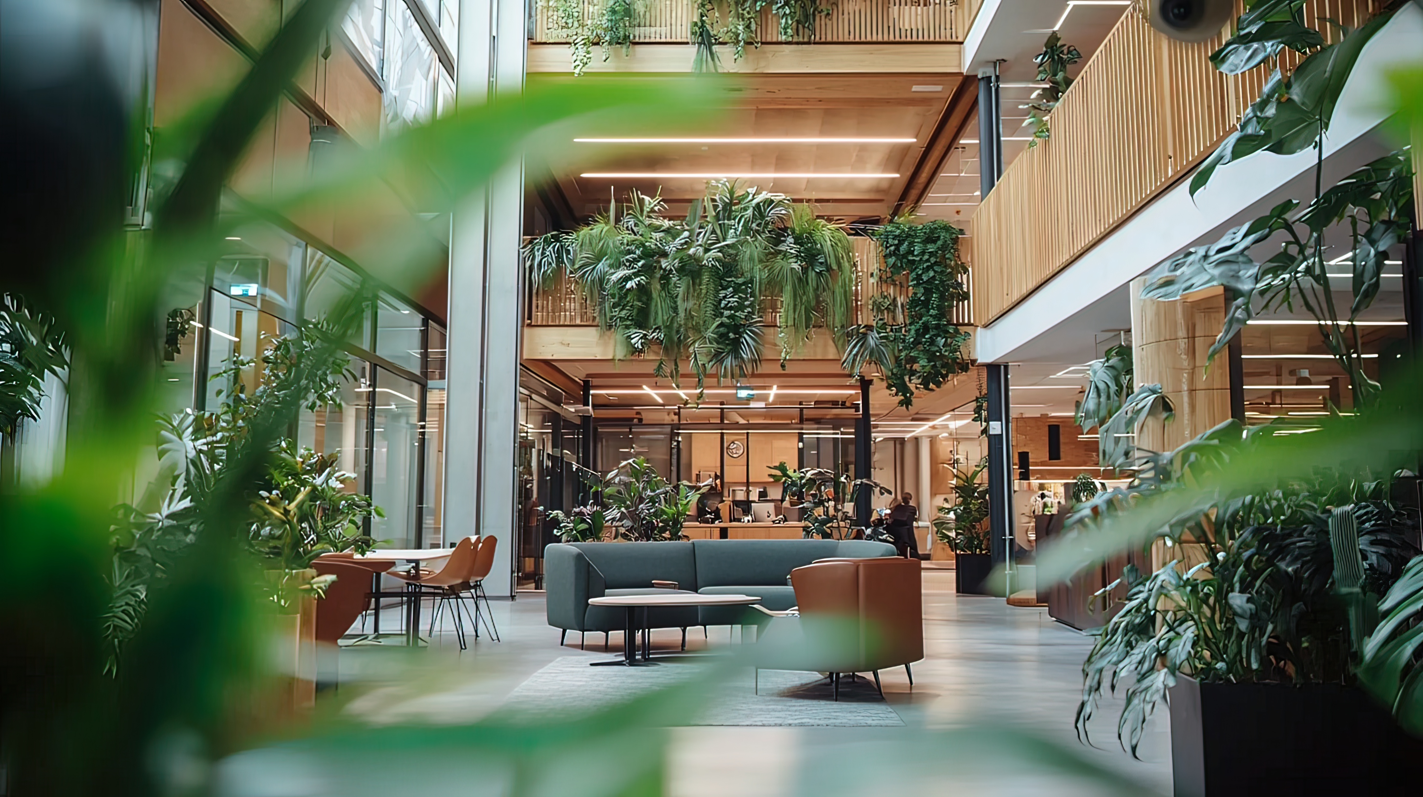 Plants in a modern green building design