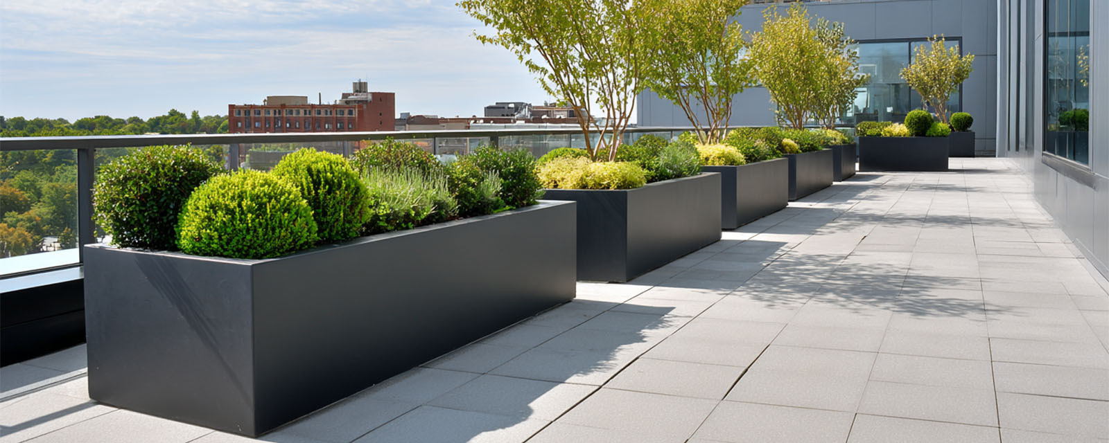 Planter Boxes