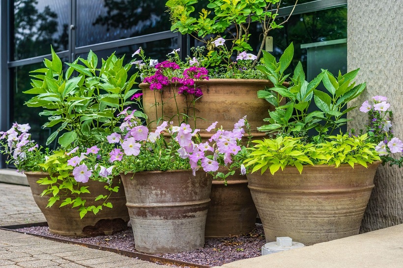 Best Container Garden Ideas - How to Style a Container Garden