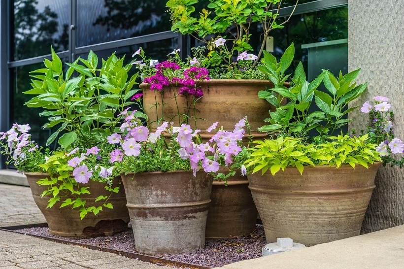 Container Garden Ideas - Pots Planters & More