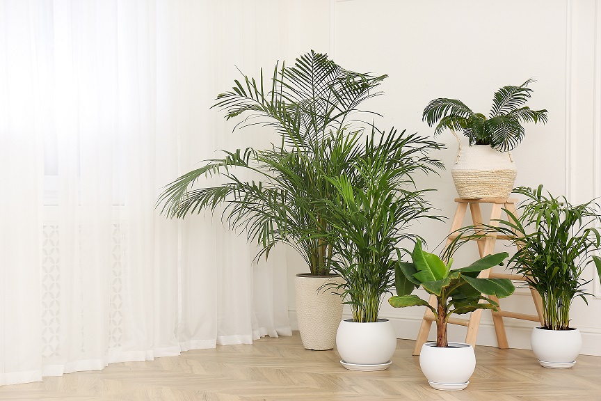 https://cdn11.bigcommerce.com/s-ljo0upzvqc/product_images/uploaded_images/creative-indoor-planter-ideas-ppm.jpg