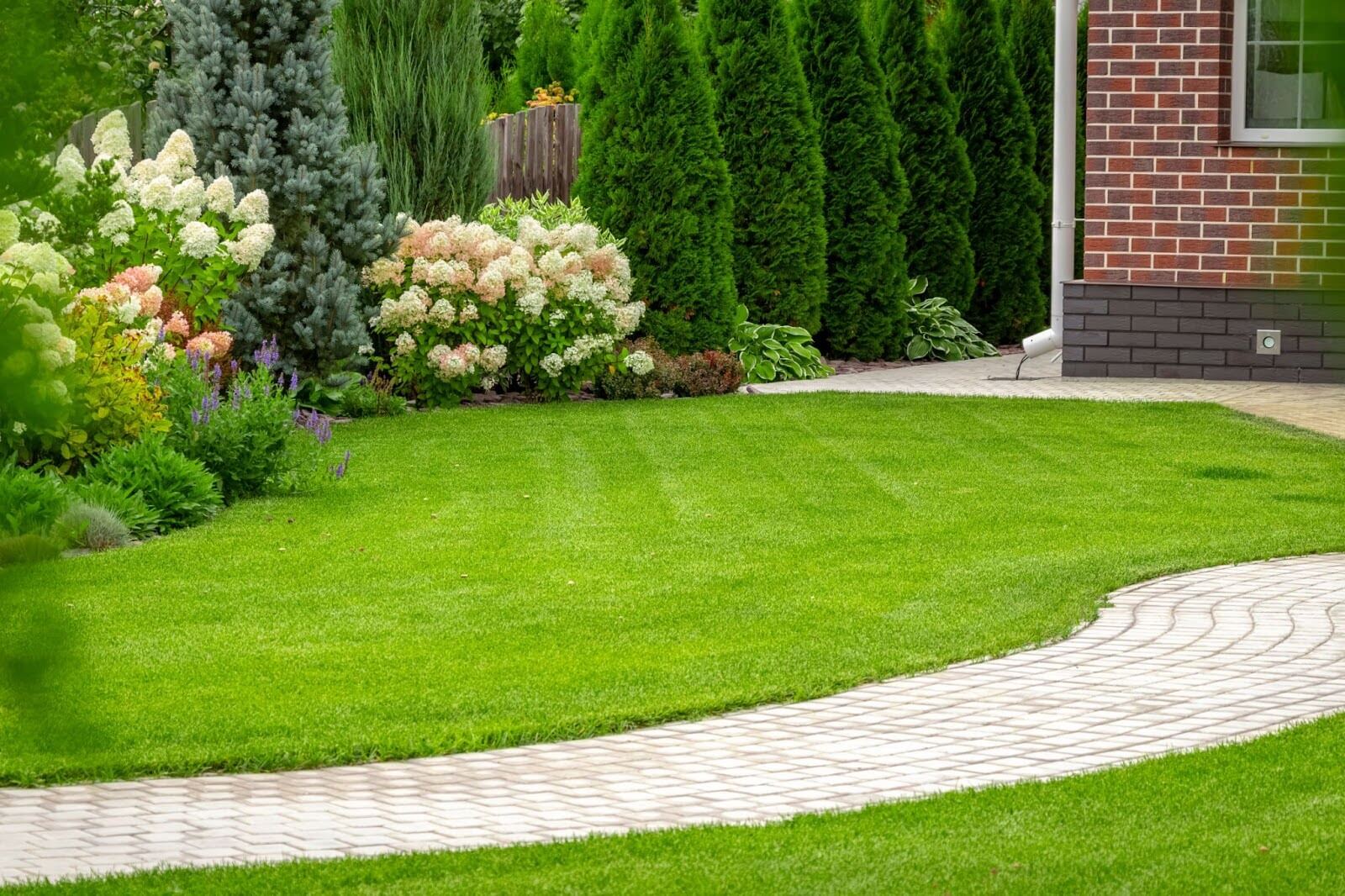 grass-in-backyard.jpg