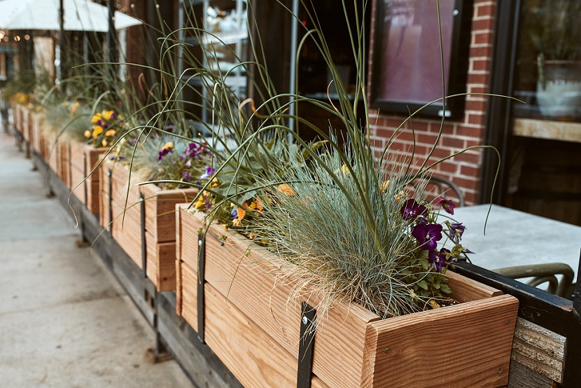 How to Plant in a Wooden Planter