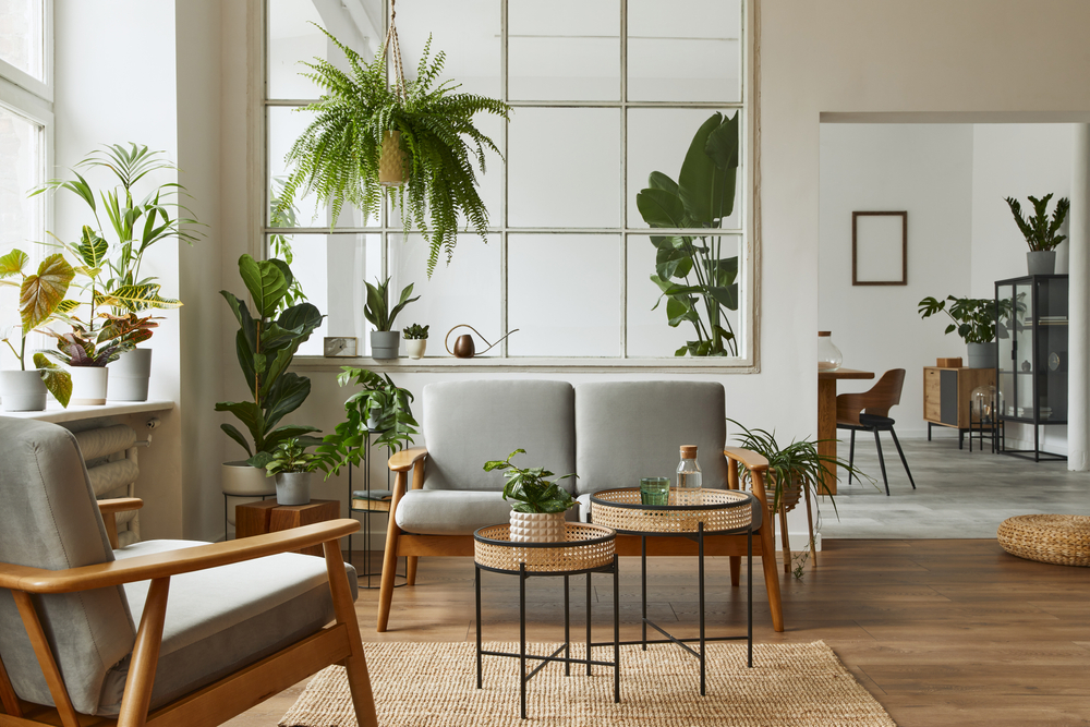 The 6 Best Indoor Plants for Wellbeing at Work Pots Planters & More
