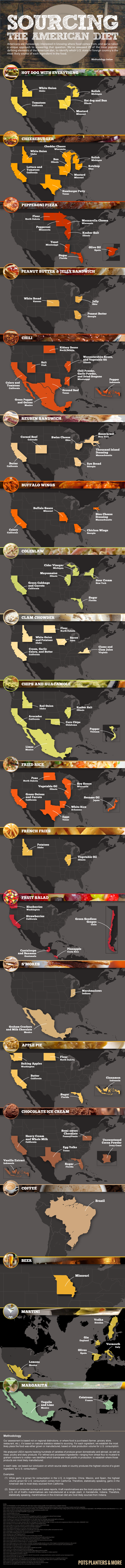 Infographic study of an American's diet