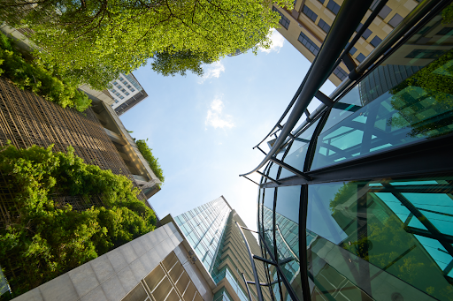 building surrounded by plants