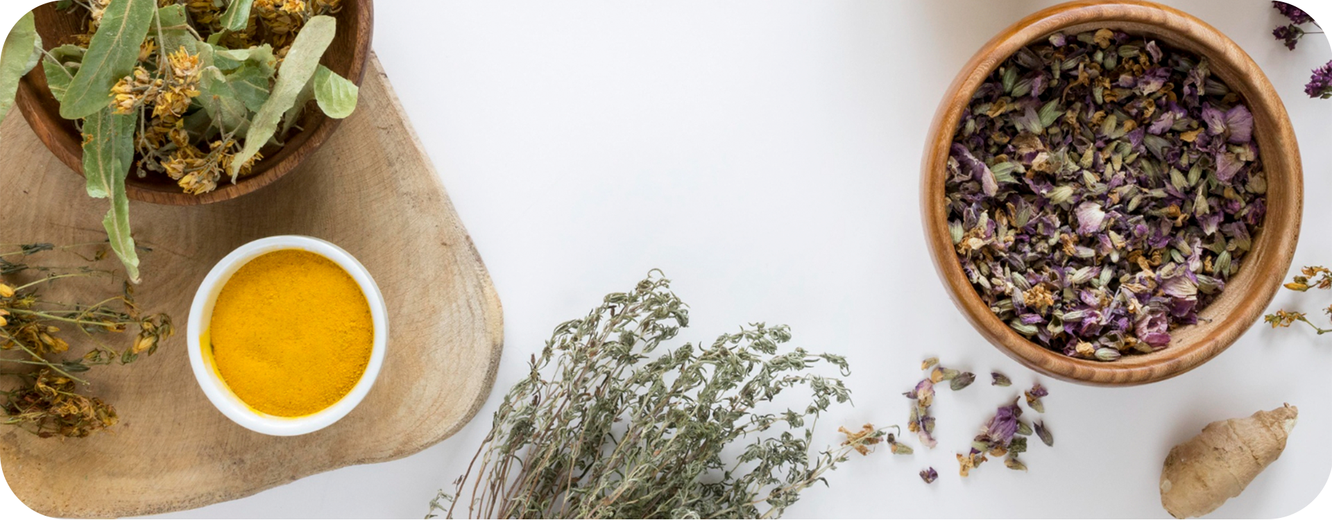 Fitoterapia natural con asesoramiento farmacéutico en Valencia