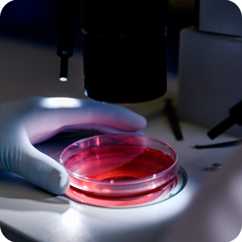 imagen análisis bioquímicos