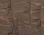 Burnished Cocoa