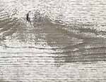 White Wash