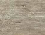 Pale Linen