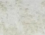 Shore Stone
