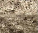 Brown Earth