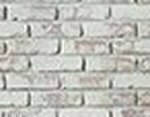 Whitewash Brick