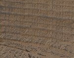 Log