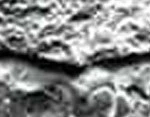 Frosted Stone