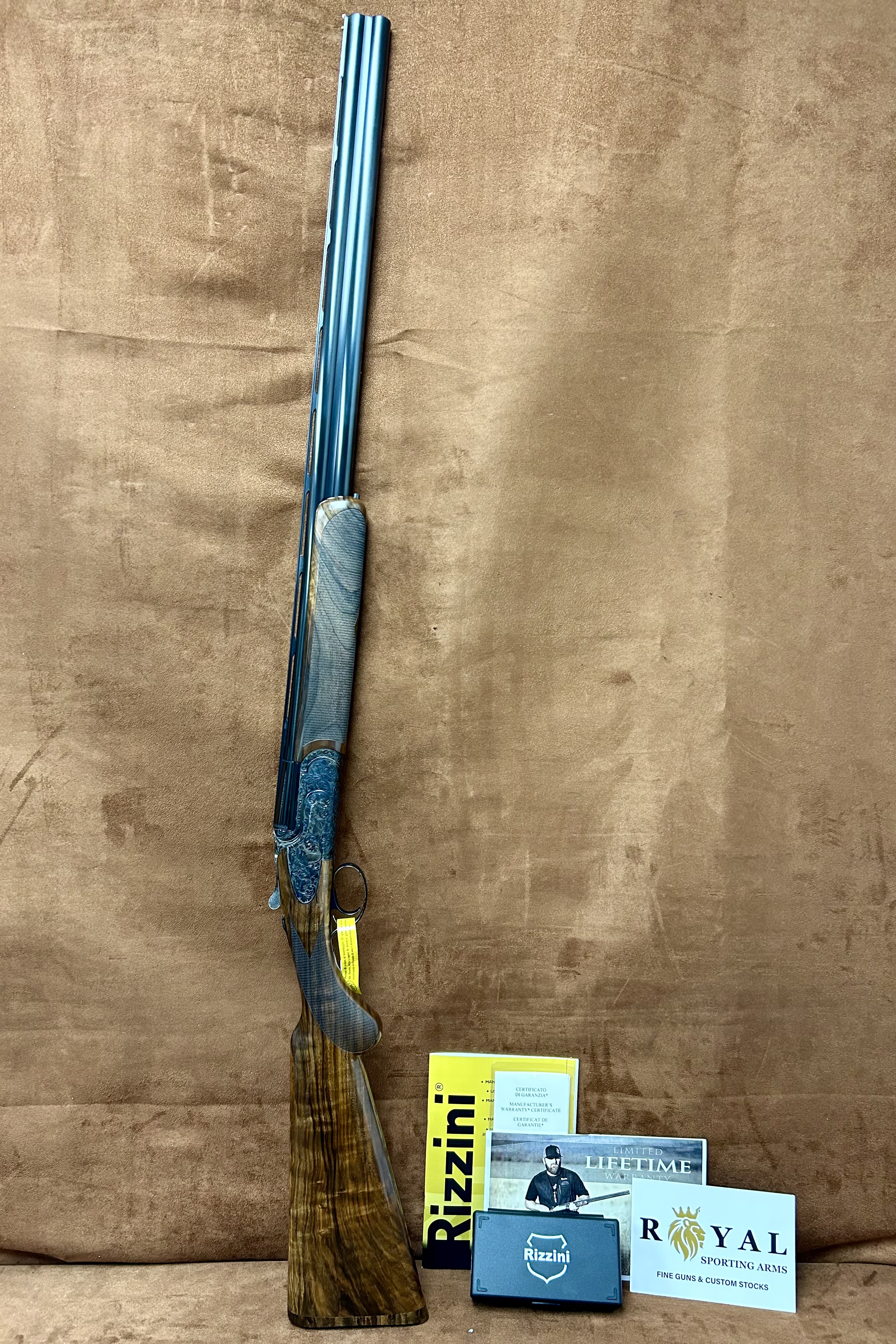 標本 Uruguay Thronistes rouxi 29mm Rizzini Regal Royal Special 20GA 29