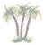 Palm Tree Trio on Grass (S4176)