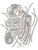 Zebra Profile Headshot Medium Iron On Design
