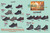 Fidelio Autumn/Winter 2024 Footwear Collection